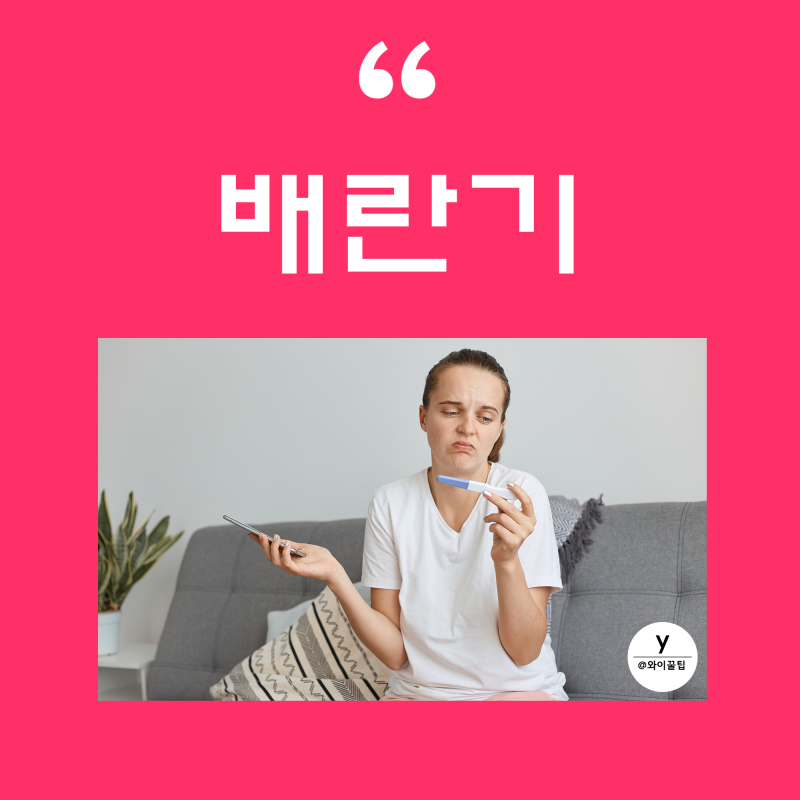 배란기 가임기 배란통 증상 배란일 계산법 배란테스트기 배란혈 임신확률 출혈 기초체온 재는법 : 네이버 블로그