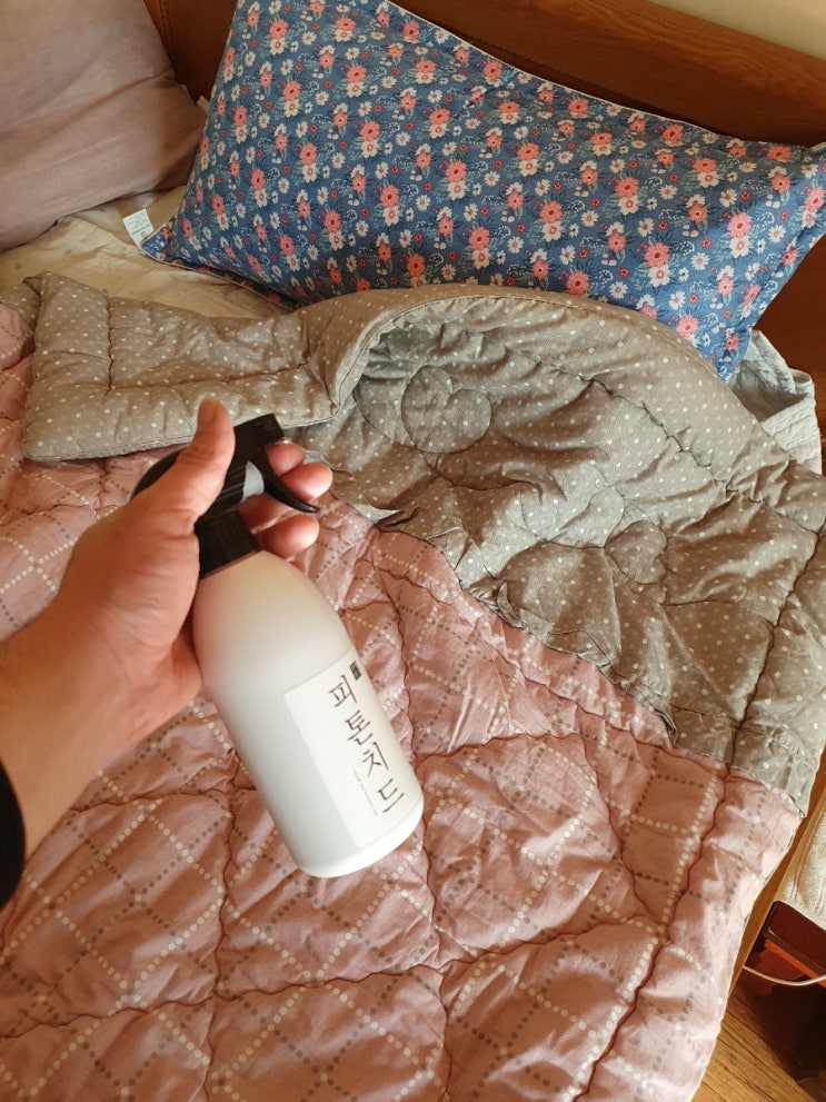  시골집 피톤치드원액을 통해 자연스러운 편백수 향을 퍼트렸어요. 집 벌레 퇴치 가능 추천