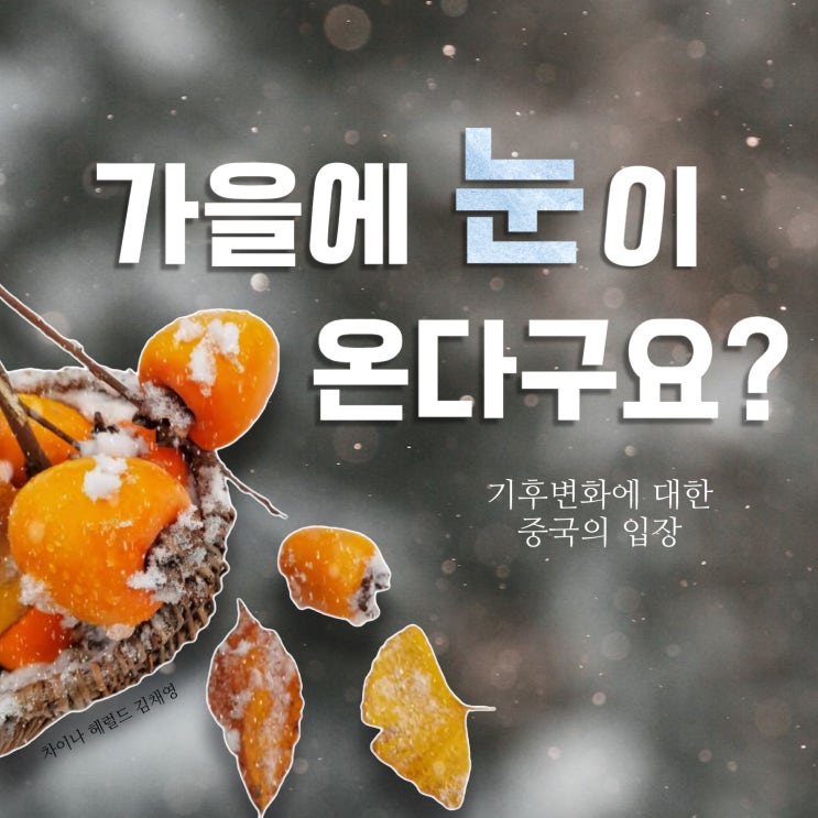 기후 변환에 대한 중국의 입장 (가을에 눈이 온다고?!) 기후 변환에 대한 중국의 입장 (가을에 눈이 온다고?!)