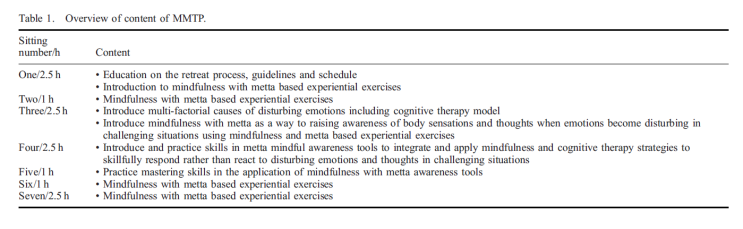  메타 마음챙김 회복탄력성 훈련의 효과성 측정 / Evaluating the effectiveness of enhancing resilience
