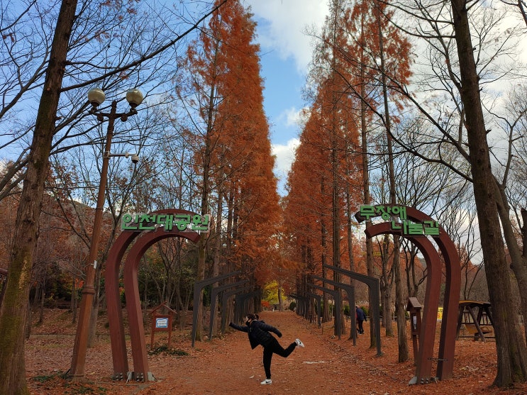가을의끝자락 인천가볼만한곳 인천대공원에서 산책하고 힐링하고왔어요