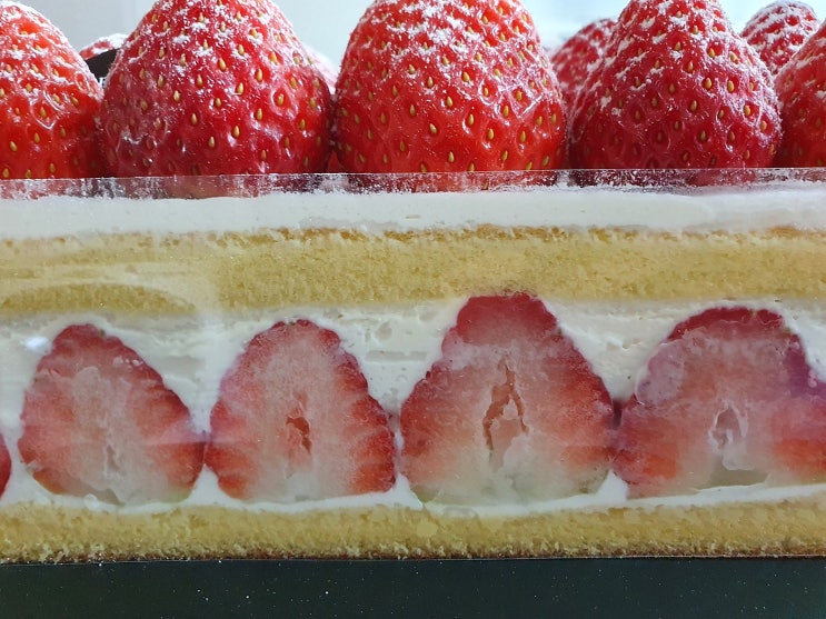 [케이크] 롯데호텔 델리카한스, 딸기케이크