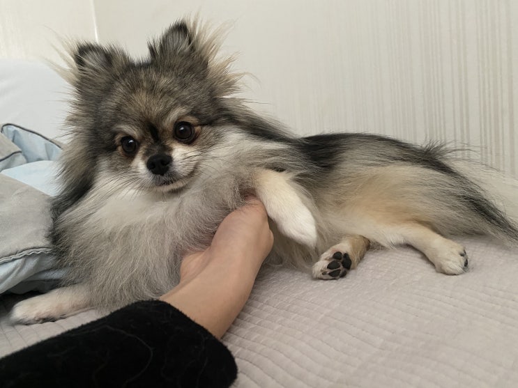  꾸꾸의 귀여운 자태