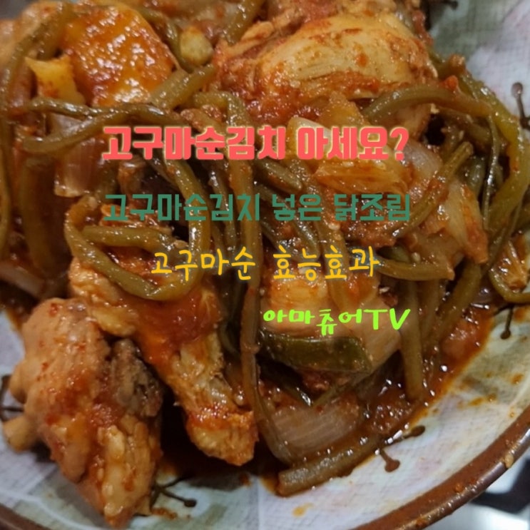  고구마순김치 아세요? 고구마순넣고닭조림하기 고구마줄기과 잎의효능 먹는방법_아마츄어TV