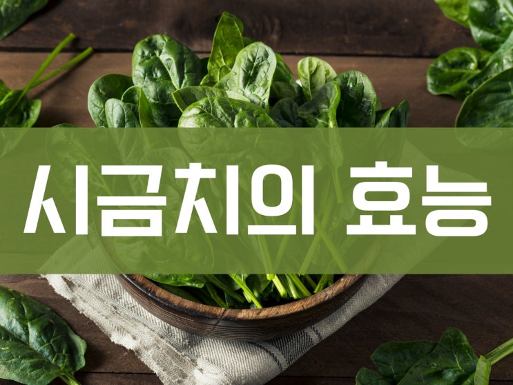 치매의 증상과 예방에 좋은 음식! 시금치의 효능