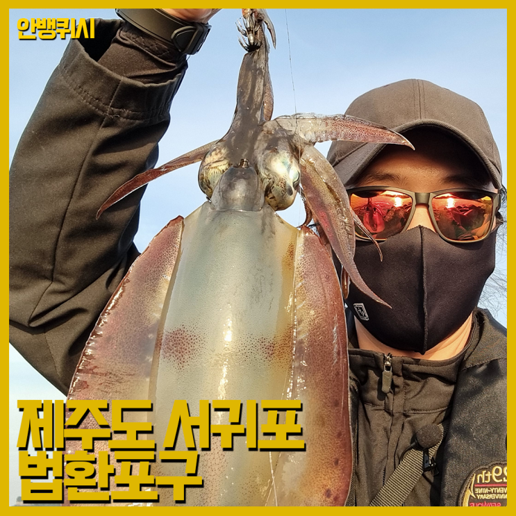 제주도 무늬오징어 에깅낚시 승리와 믿음의 그곳 - 법환포구