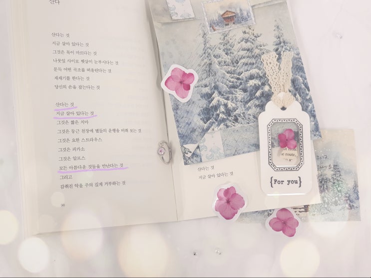  이 정도면 잘 사는 거 아닐까?