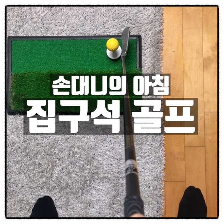 손대니 집구석 골프 아침운동 중 손대니 집구석 골프 아침운동 중