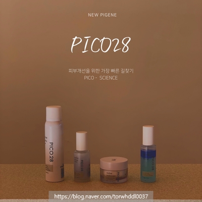  뉴파이진 피코28
