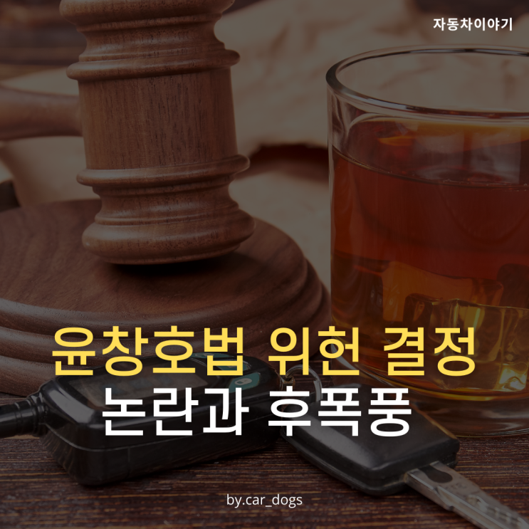 윤창호법 위헌 결정으로 인한 논란과 후폭풍,장제원 아들 노엘도 득 보나?