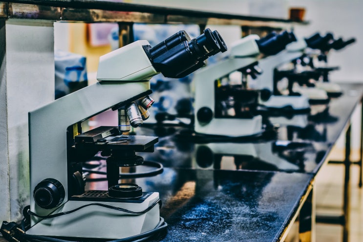 해외직업 Ⅰ범죄과학수사관 (Forensic Investigator or Forensic Science Technicians) 해외직업 Ⅰ범죄과학수사관 (Forensic Investigator or Forensic Science Technicians)