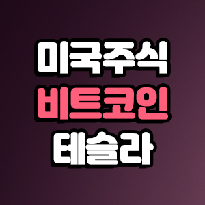  한국보다는 미국. 지수보다는 테슬라. 그리고 비트코인