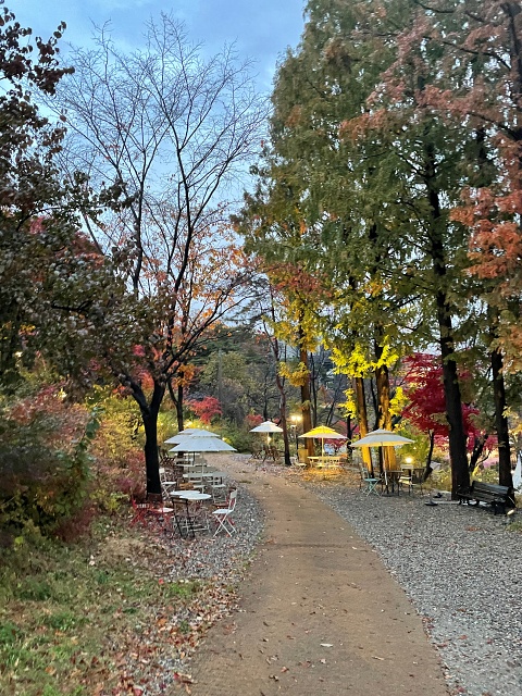  화성 더포레에서 가을을 느끼다