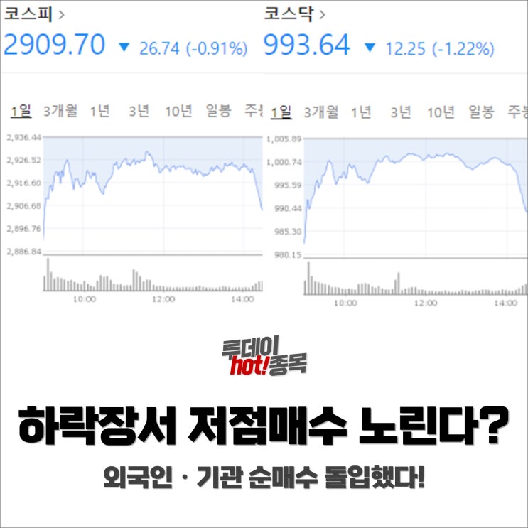  [오후장 특징주] 하락장서 저점매수 노리는 기관? 외국인·기관 순매수 돌입!