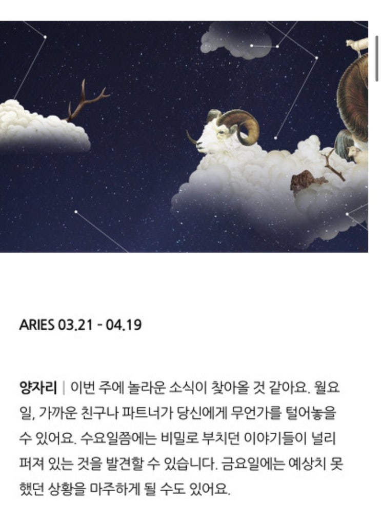  수잔밀러 별자리 12월 첫째주 보고 가기