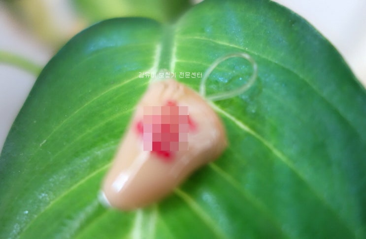  부산연산동보청기전문점, 귓속형보청기분실해결