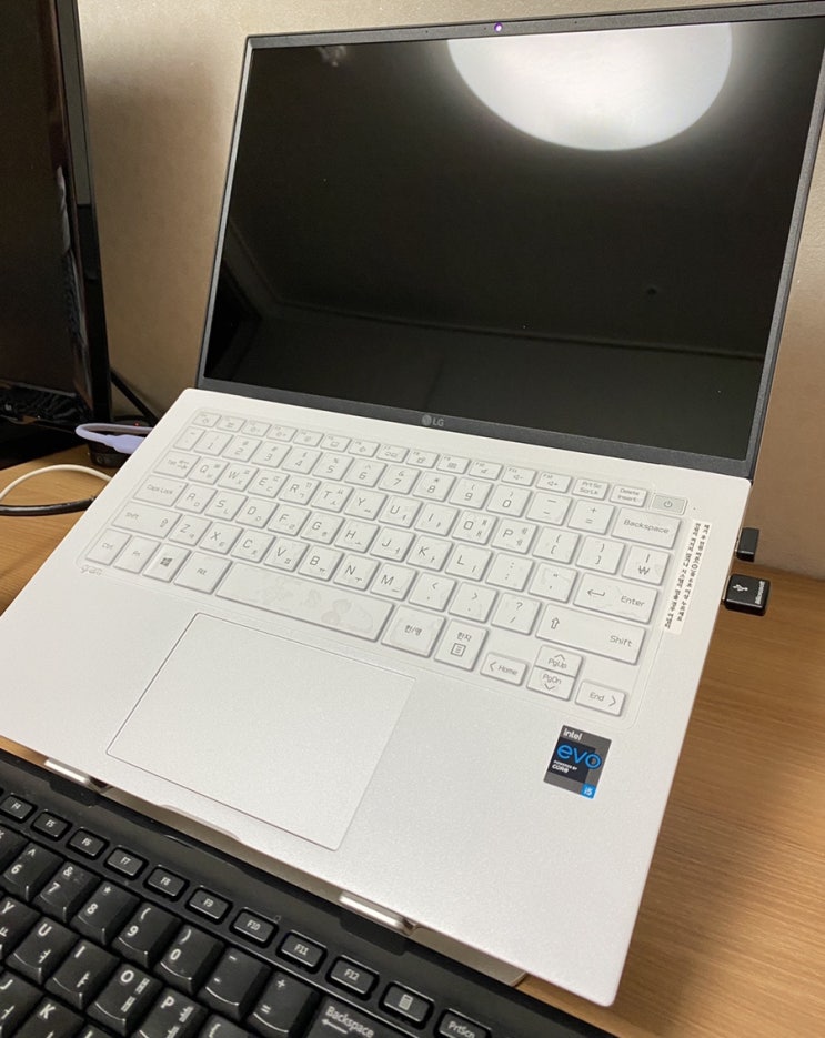 고성능 가벼운 노트북 LG전자 그램14(14Z90P-GA56K) 교체 후기