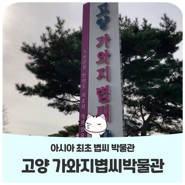 아시아 최초 볍씨 박물관고양 가와지볍씨박물관 아시아 최초 볍씨 박물관고양 가와지볍씨박물관
