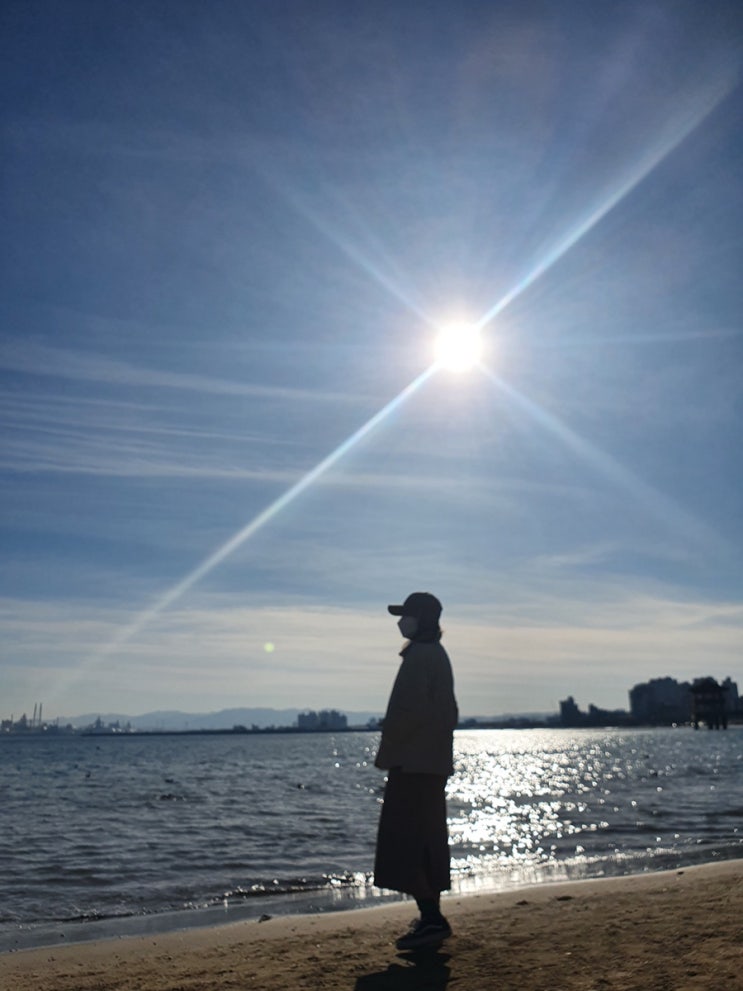  #38 11월 3-4주 / 직장인의 소소한 일상 blog 