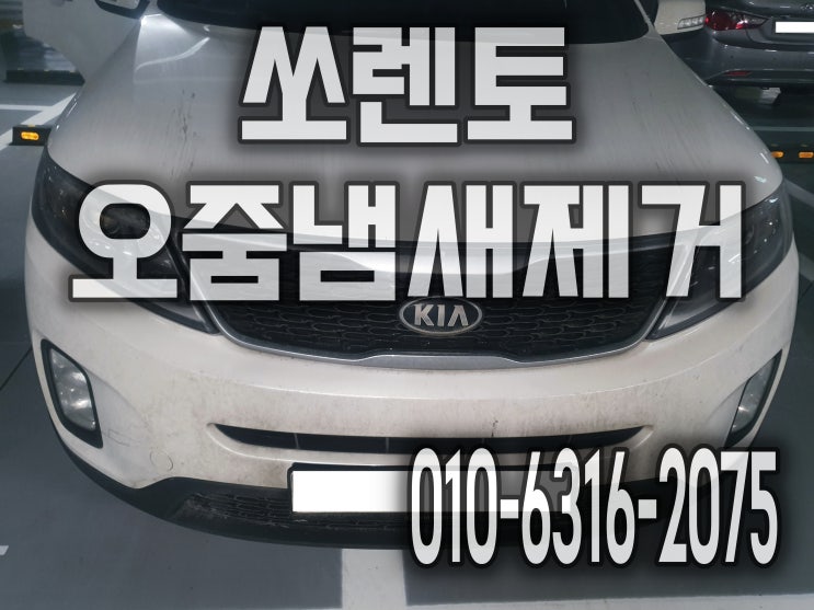  자동차 개오줌 냄새제거 통풍 시트 분해세척으로 가죽청소해요 쏘렌토 안양