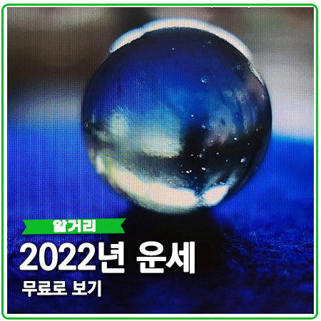 2022년 무료운세 삼재띠 신한생명 확인