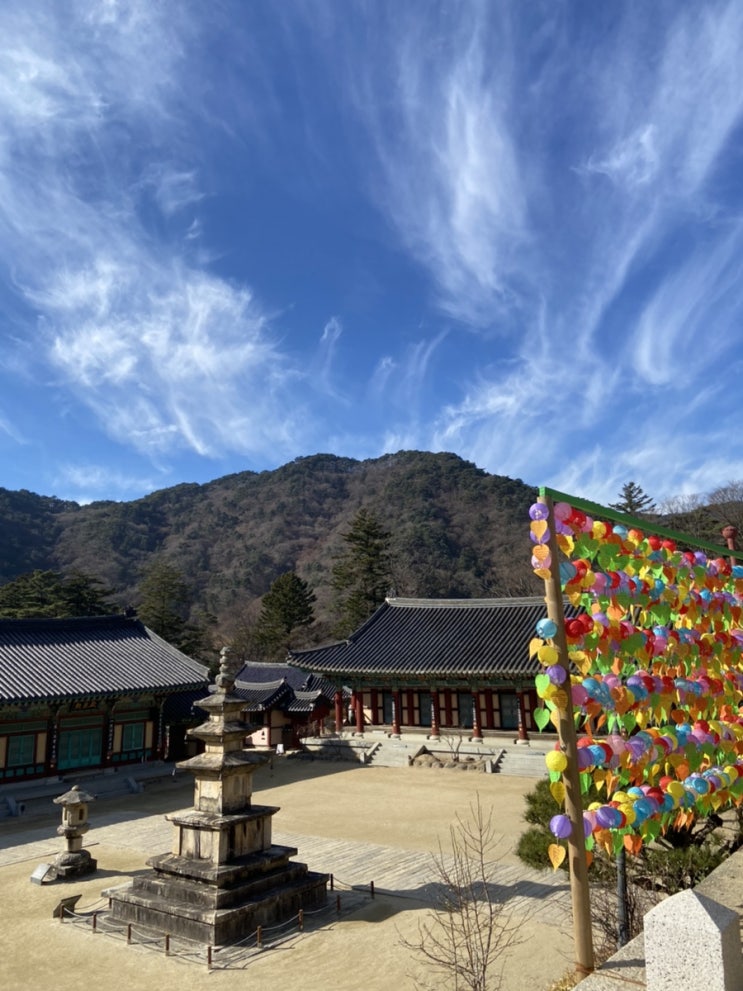  [합천] 해인사