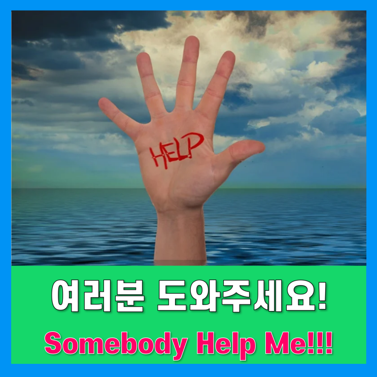 이웃분들 도움을 부탁드립니다!(카카오톡 채널 구독 요청드려요!)