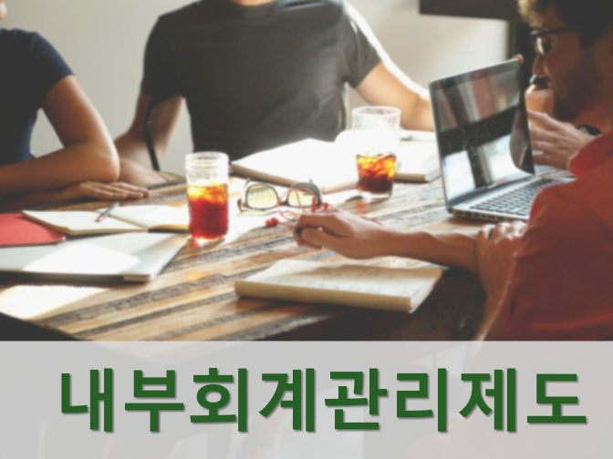  내부회계관리제도 적용대상 회사 및 모범규준