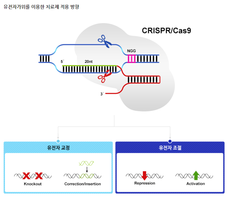 12월 공모주 툴젠을 알아보자