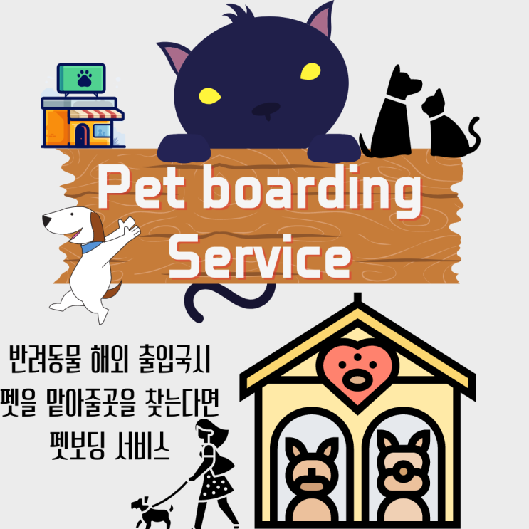  강아지카고 고양이카고 외국인 강아지 고양이해외출국 펫보딩서비스