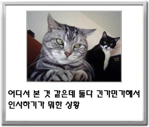 6. 오우야 피곤해