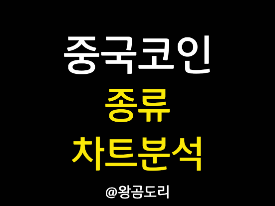  중국코인 종류 및 차트 분석