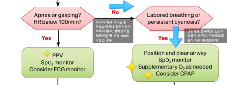  신생아 심폐소생술, neonatal resuscitation 에 관하여(2) - CPAP과 PPV(postive pressure ventilation)