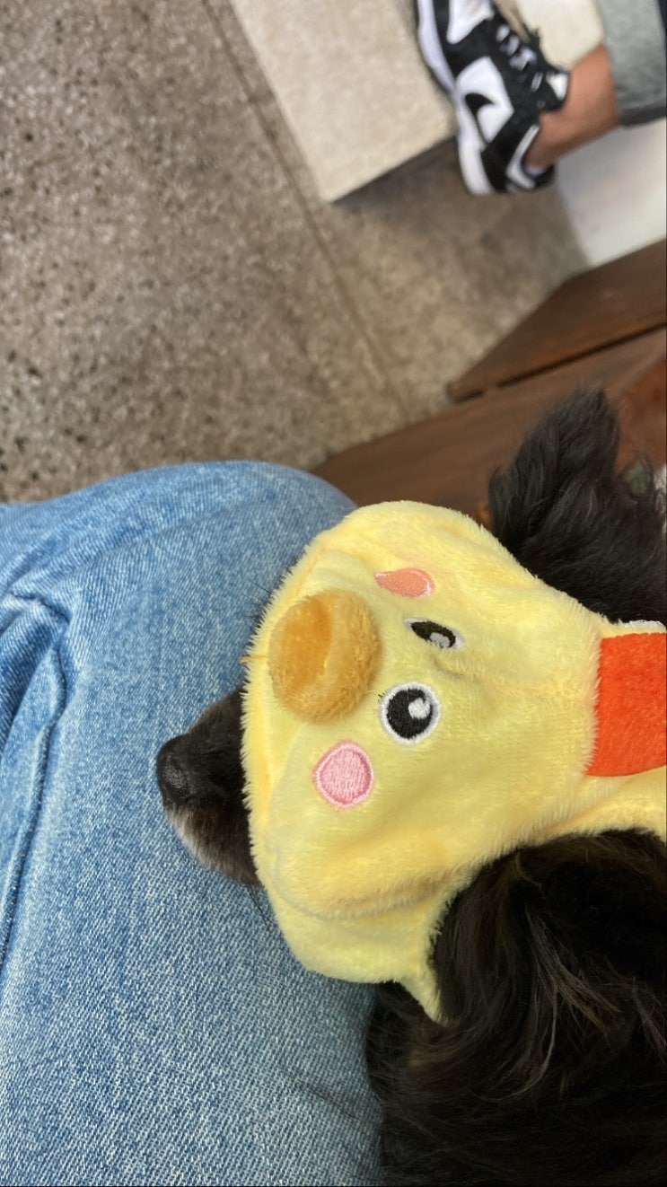  5일 기록