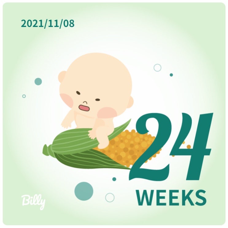  [ 임신 24주 - 27주] 24주 임신성당뇨 검사 (통과) / 나의 생일 / 단조로운 일상들