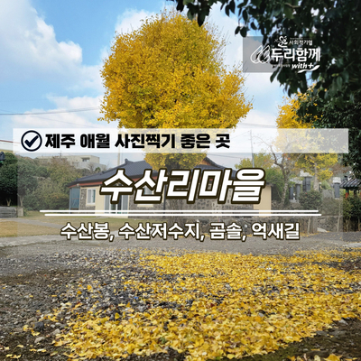  제주 애월 사진찍기 좋은 곳(수산봉, 수산저수지, 곰솔, 억새길)