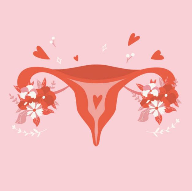  수한의원, 갱년기한의원은 자하거 태반약침을 기억하세요.