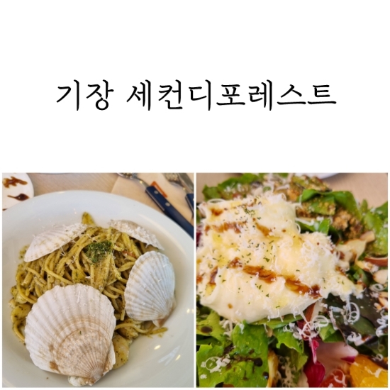  기장 세컨디포레스트 일광 맛집 소개 기장 데이트