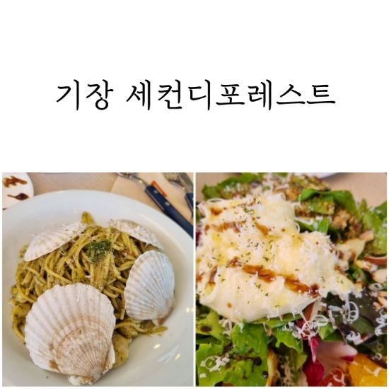 기장 세컨디포레스트 일광 맛집 소개 기장 데이트