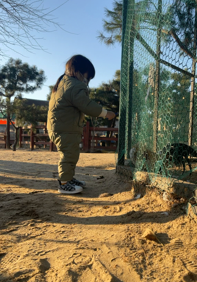  경기도 아이와 가볼만한곳 화성 할아버지 동물농장.