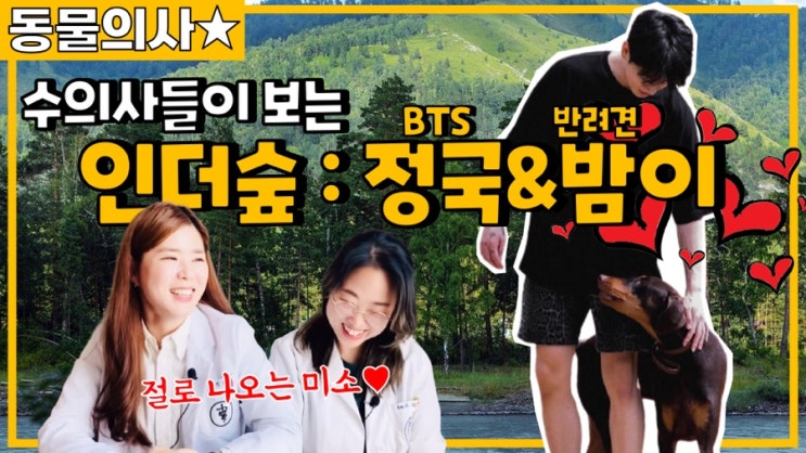 [주간 동물의사] 인더숲 BTS편 리뷰 : 방탄소년단 정국과 반려견 밤이를 본 수의사들 반응
