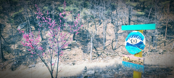  거울에 비친 내모습