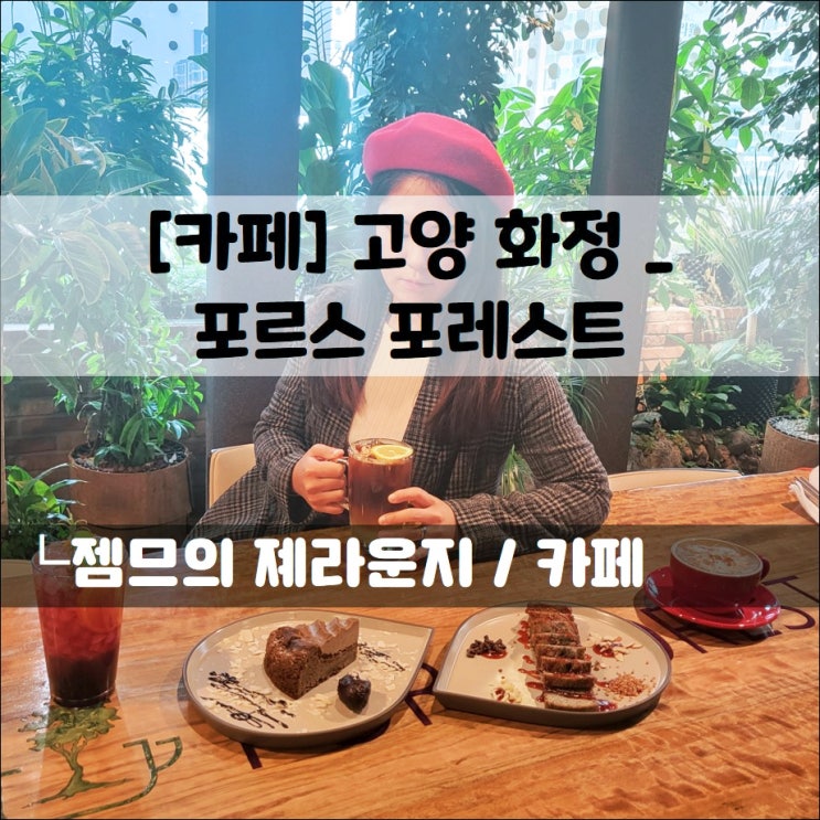 &lt;화정역카페 / 포르스포레스트&gt; 식물들이 가득한 세이브존 카페