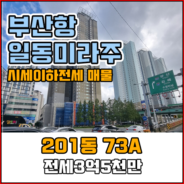  부산항일동미라주 좌천동아파트 1월 입주예정 올전세 매물 있습니다. 일단문의!
