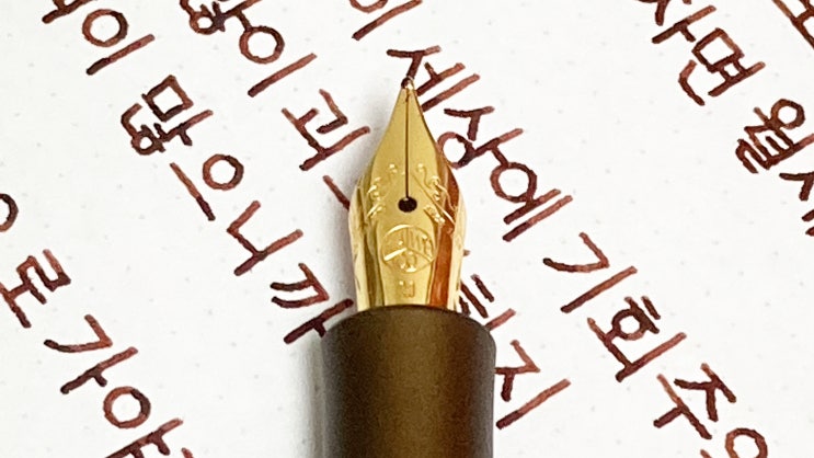  너도 견디고 있구나 (ft. 카웨코 알 스포츠 만년필 실제 사용 영상)