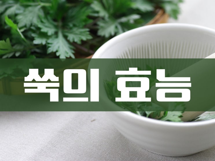  고혈압 개선과 예방에 좋은 음식 쑥의 효능과 요리법