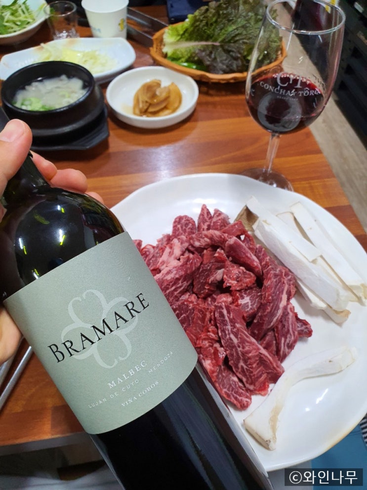  VIVINO 점수 깡패 비냐코보스, 말벡의 정수
