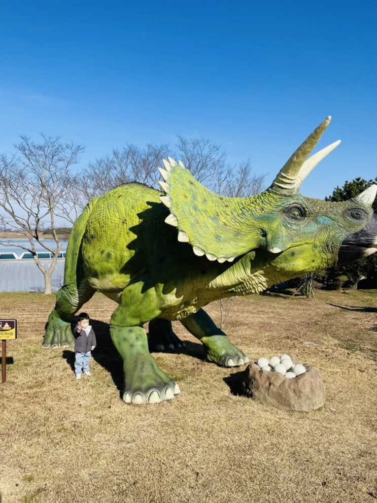 [전남여행]공룡좋아하는 아이라면 필수!! 아이가 너무 좋아하는 해남공룡박물관