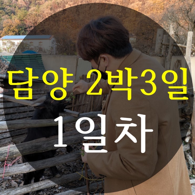  담양 2박3일 여행 1일차 코스, 추억의골목, 옥빈관, 죽녹원5분거리민박