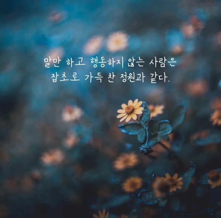 부거사이 [부동산 뉴스와 블로그] 11월 30일(화)